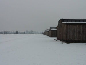 Auschwitz-Birkenau Holzbaracken